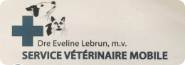 Dre Evelyne Lebrun, Vétérinaire mobile