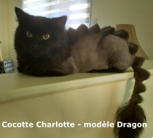 Cocotte Charlotte - modèle Dragon