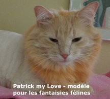 Patrick my Love - modèle