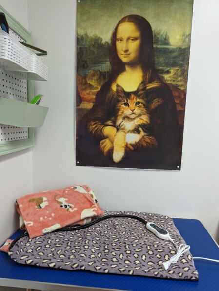 Table avec coussin chauffant Table avec coussin chauffant